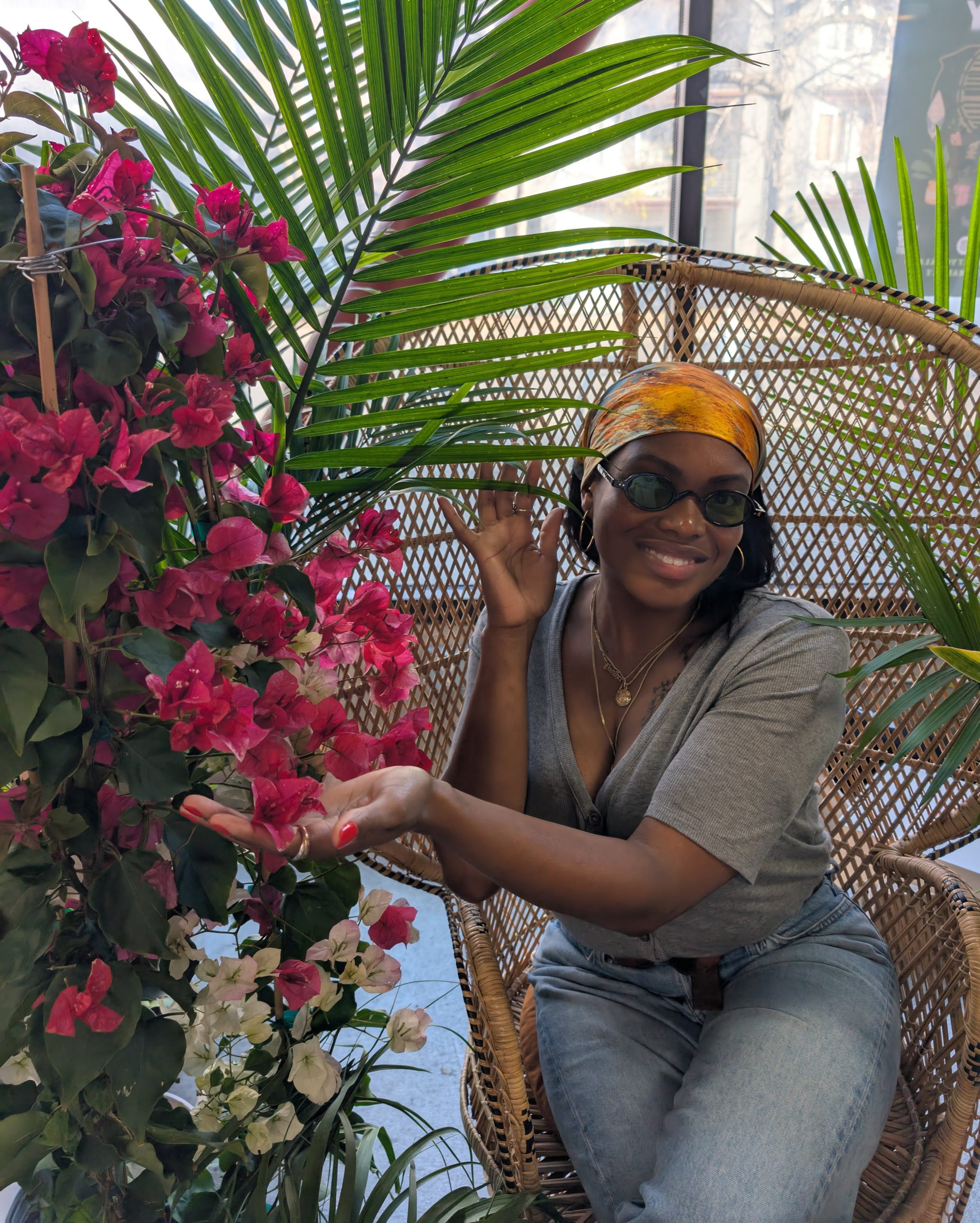 The Plant Auntie plant collection